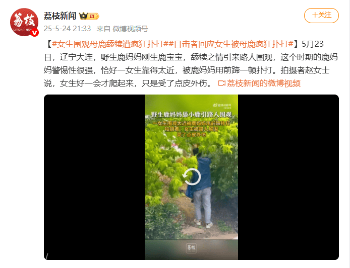 信用網怎么开户_视频曝光！大连一女子在市区内遭母鹿疯狂扑打信用網怎么开户，知情人称疑因拍刚出生小鹿，当地：已贴告示提醒，择机将鹿迁移回山里