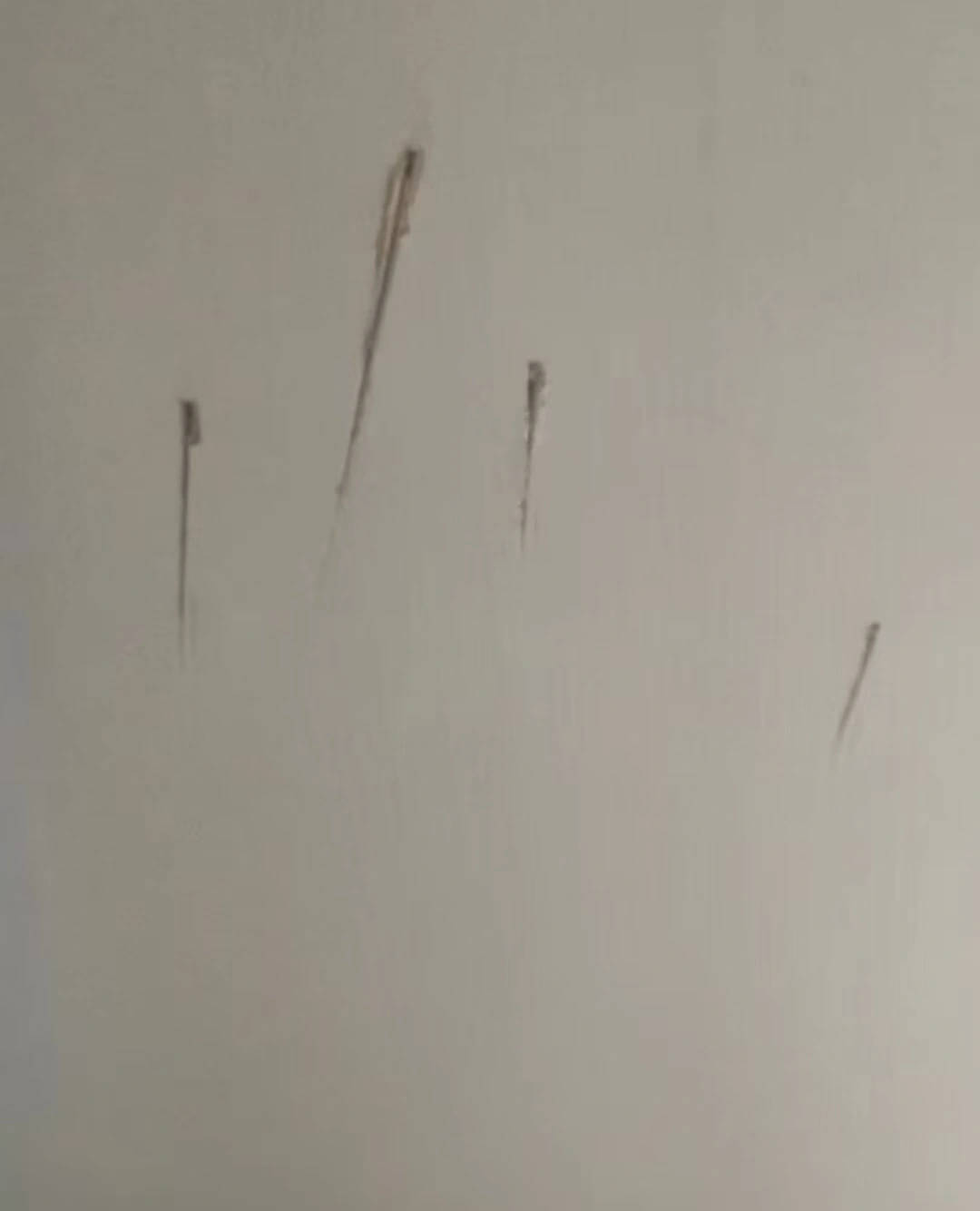 墨尔本骑士 v 欧克莱卡诺_陕西一护士被同居男友杀害墨尔本骑士 v 欧克莱卡诺，日记称长久遭受暴力威胁，家属希望追加虐待罪名，最新进展