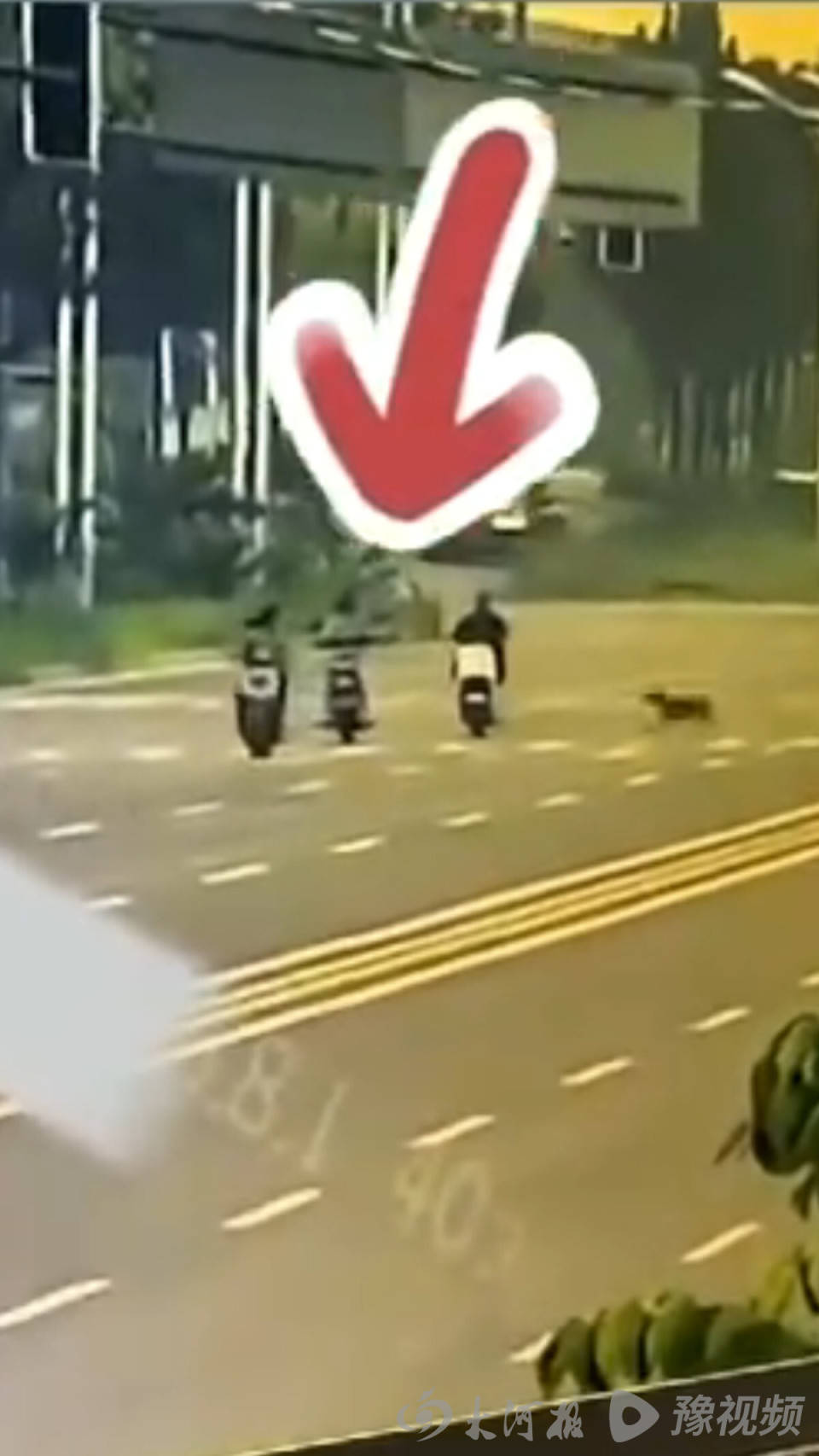 皇冠体育App下载_河北女子骑行被未拴绳大狗撞倒身亡皇冠体育App下载，其丈夫又突发脑溢血昏迷，留下3个孩子与两名老人