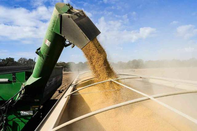 皇冠信用网_中国采购800万吨美国大豆皇冠信用网，美媒争相“报喜”，实则中美角色已互换