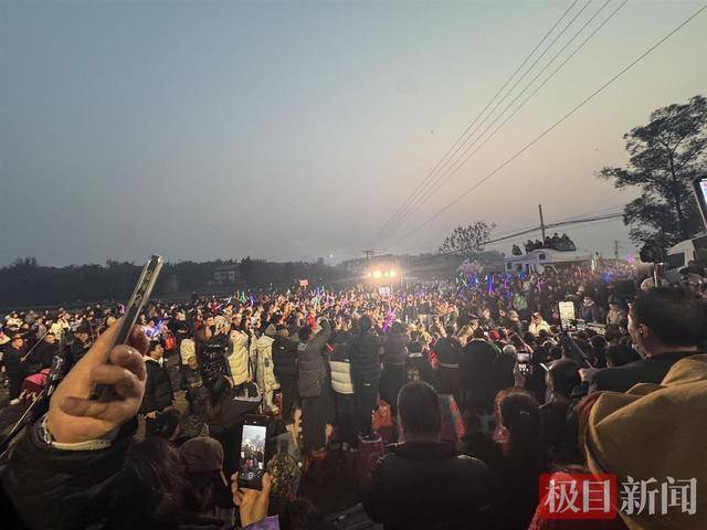 皇冠b盘
_两头猪何以引发全网狂欢皇冠b盘
?丨顶端观察