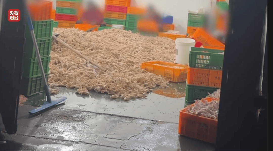 世界杯会员如何申请 _“3·15晚会”曝光名单全记录