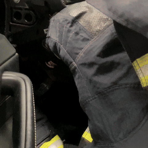 世界杯足球平台代理_杭州一车主崩溃求救：车上有只“超凶大老鼠”世界杯足球平台代理！消防员苦战20分钟发现竟是……