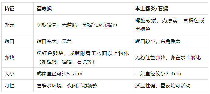 皇冠在线客服
_别吃!寄生虫多达6000条皇冠在线客服
,近期正大量出现,严重可致死