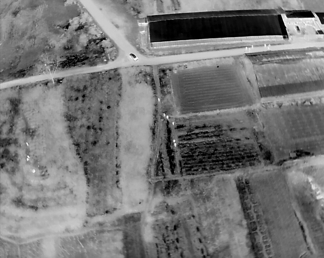 皇冠直播_5人夜盗将军墓皇冠直播，被无人机全程锁定现场抓获！