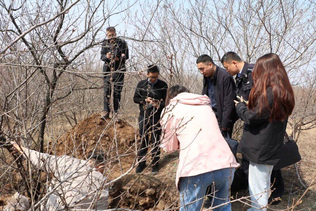 皇冠直播_5人夜盗将军墓皇冠直播，被无人机全程锁定现场抓获！