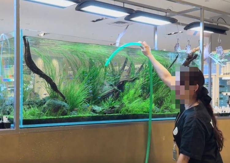 皇冠账号_冰淇淋被震歪了！日本7.7级地震皇冠账号，多名华人亲历者讲述