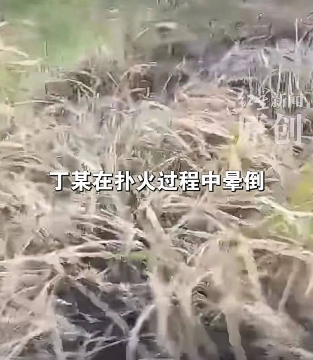 2026世界杯赛程
_9岁女孩点燃野草2026世界杯赛程
,父亲扑火时因热射病身亡,家属:有人要求他灭火后才能离开