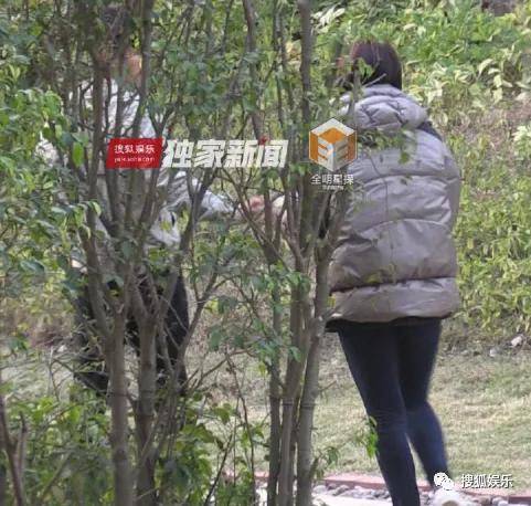 皇冠app_她好像真的未婚先孕了皇冠app?全网都在猜孩子生父是谁