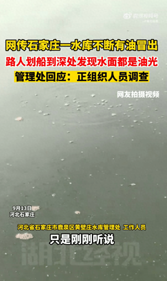 皇冠信用网正网_网传石家庄一水库不断有油冒出皇冠信用网正网，水库管理处回应：正组织人员调查